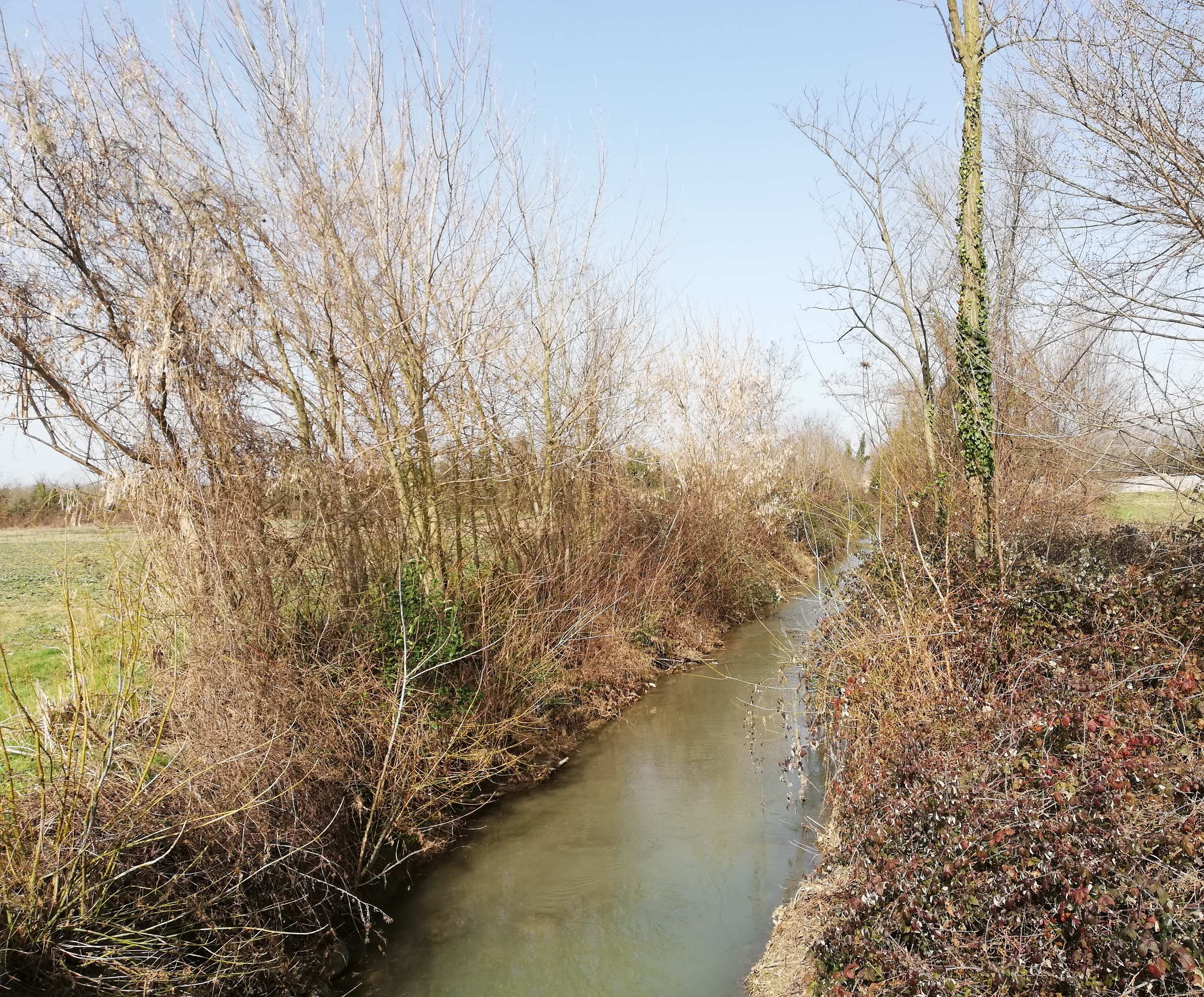 Immagine per Il verde ‘condimento’ di turismo e armonia 